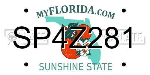 SP4Z281 Florida License Plate