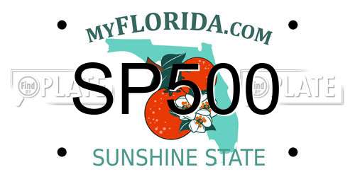 SP500 Florida License Plate