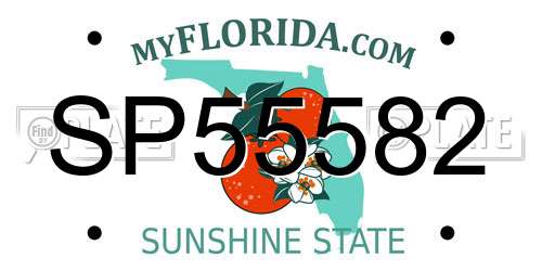 SP55582 Florida License Plate