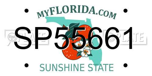 SP55661 Florida License Plate