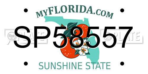 SP58557 Florida License Plate