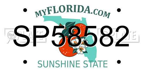 SP58582 Florida License Plate