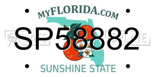 SP58882 Florida License Plate