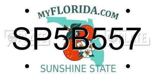 SP5B557 Florida License Plate