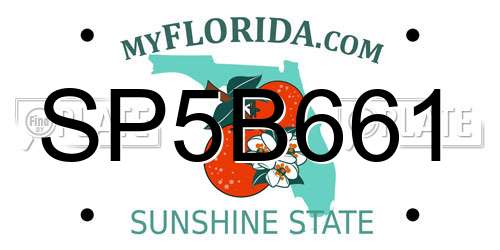 SP5B661 Florida License Plate