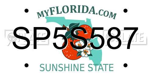 SP5S587 Florida License Plate
