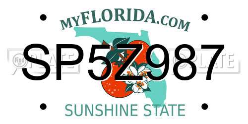 SP5Z987 Florida License Plate