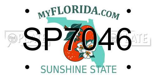 SP7046 Florida License Plate