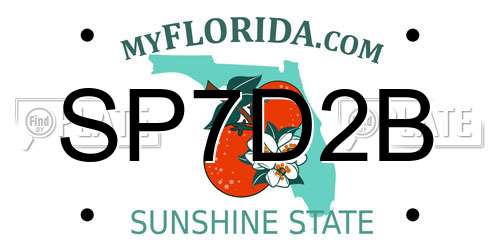 SP7D2B Florida License Plate