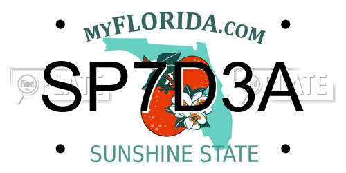 SP7D3A Florida License Plate