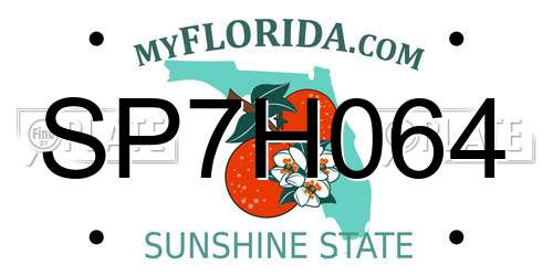 SP7H064 Florida License Plate