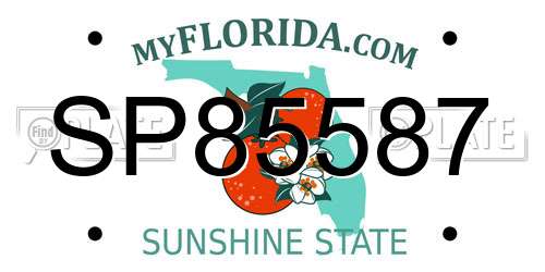 SP85587 Florida License Plate