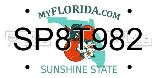 SP8T982 Florida License Plate