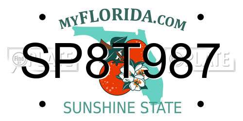 SP8T987 Florida License Plate