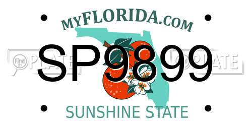 SP9899 Florida License Plate