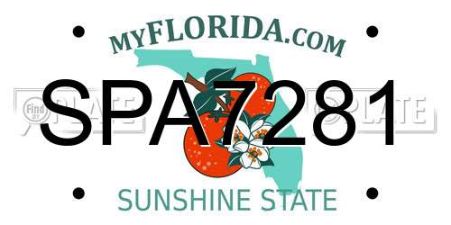 SPA7281 Florida License Plate
