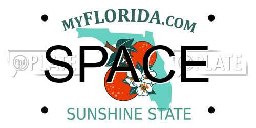 SPACE Florida License Plate