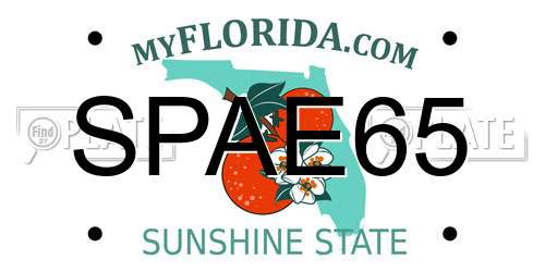 SPAE65 Florida License Plate