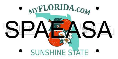 SPAEASA Florida License Plate