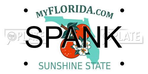 SPANK Florida License Plate