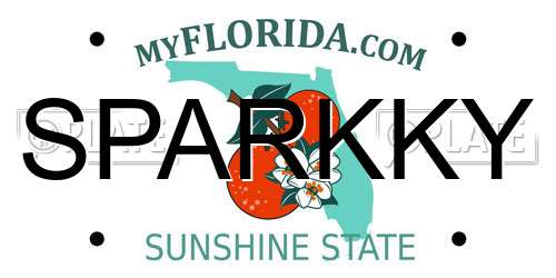SPARKKY Florida License Plate