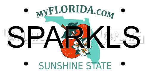 SPARKLS Florida License Plate