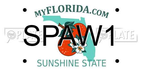 SPAW1 Florida License Plate
