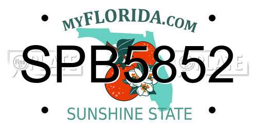 SPB5852 Florida License Plate
