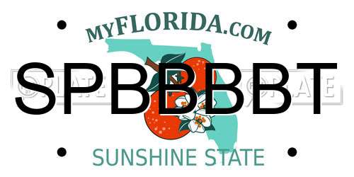 SPBBBBT Florida License Plate