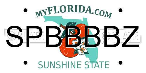 SPBBBBZ Florida License Plate