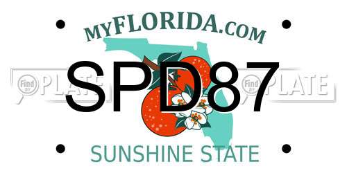 SPD87 Florida License Plate