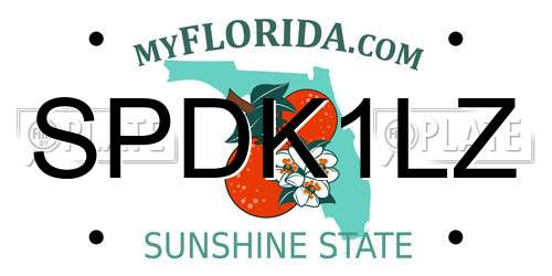 SPDK1LZ Florida License Plate