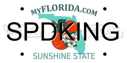 SPDKING Florida License Plate