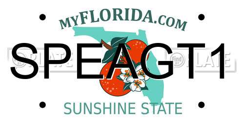 SPEAGT1 Florida License Plate