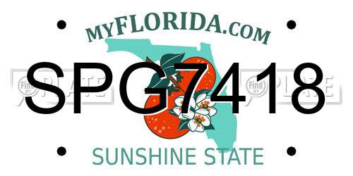 SPG7418 Florida License Plate