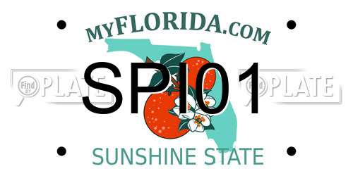 SPI01 Florida License Plate