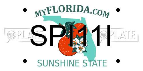 SPI11I Florida License Plate