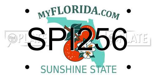 SPI256 Florida License Plate