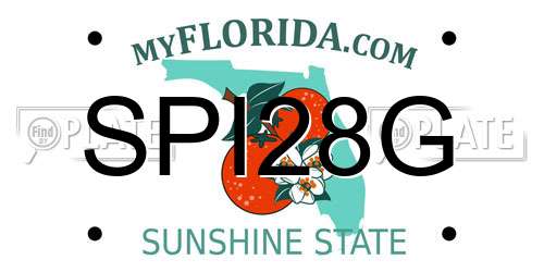 SPI28G Florida License Plate