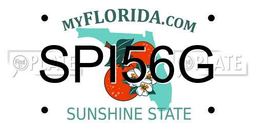 SPI56G Florida License Plate
