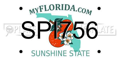 SPI756 Florida License Plate