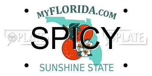 SPICY Florida License Plate