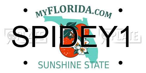 SPIDEY1 Florida License Plate