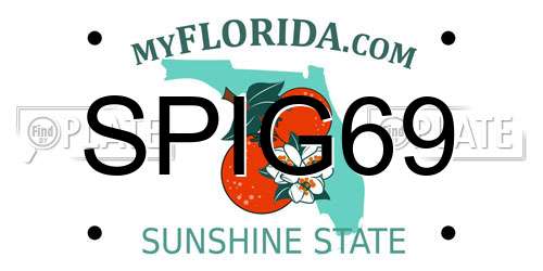 SPIG69 Florida License Plate