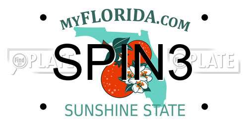 SPIN3 Florida License Plate
