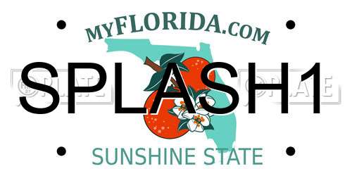 SPLASH1 Florida License Plate