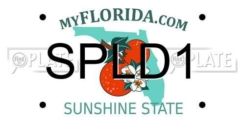 SPLD1 Florida License Plate