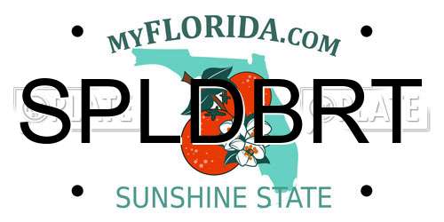 SPLDBRT Florida License Plate