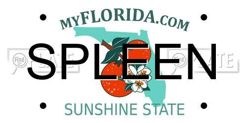 SPLEEN Florida License Plate