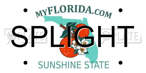 SPLIGHT Florida License Plate